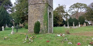 Council issues warning after dog poo found in cemetery